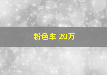 粉色车 20万